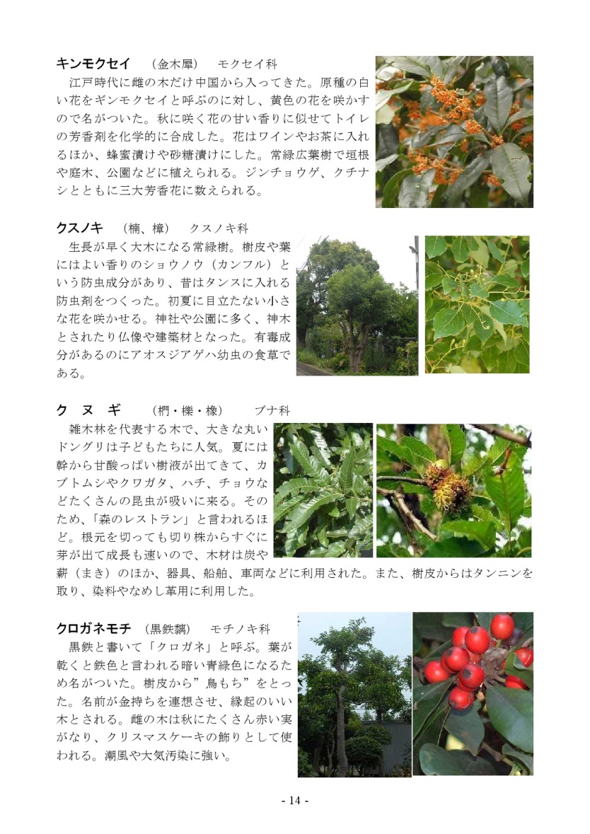 自然 藤沢市立鵠洋小学校