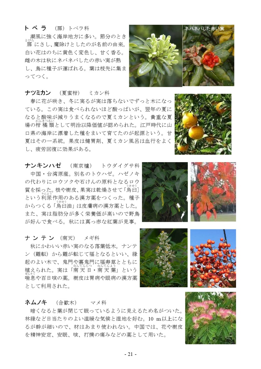 自然 藤沢市立鵠洋小学校