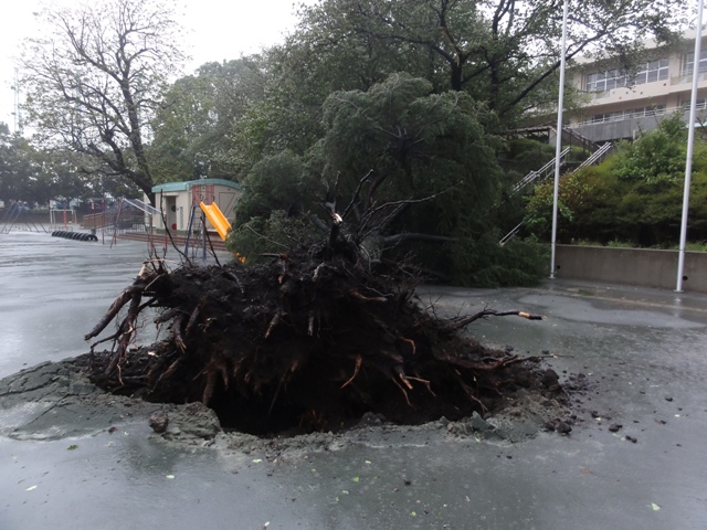 台風１５号による被害 藤沢市立六会小学校